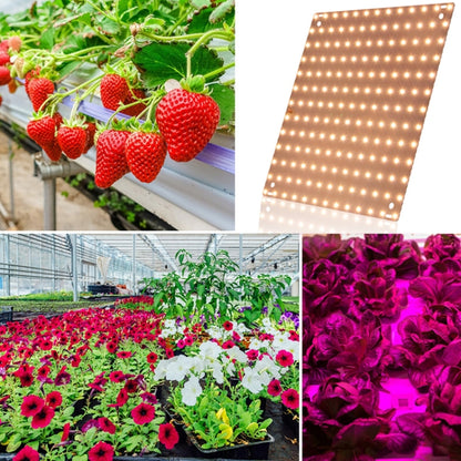 LED Plant Growth Light Indoor Quantum Board Plant Fill Light, Style: D2 45W 169 Beads EU Plug (Pink Purple) - LED Grow Lights by PMC Jewellery | Online Shopping South Africa | PMC Jewellery