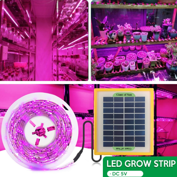 LED Full Spectrum Plant Fill Light Grow Light(Solar Panel+ 5M Lamps) - LED Grow Lights by PMC Jewellery | Online Shopping South Africa | PMC Jewellery