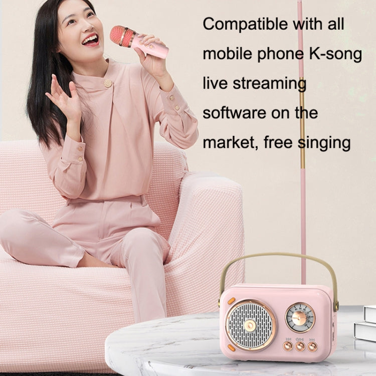 POLVCDG B152 Multi-Functional Small Family KTV Karaoke Microphone Sound Integration(Pink) - Desktop Speaker by POLVCDG | Online Shopping South Africa | PMC Jewellery